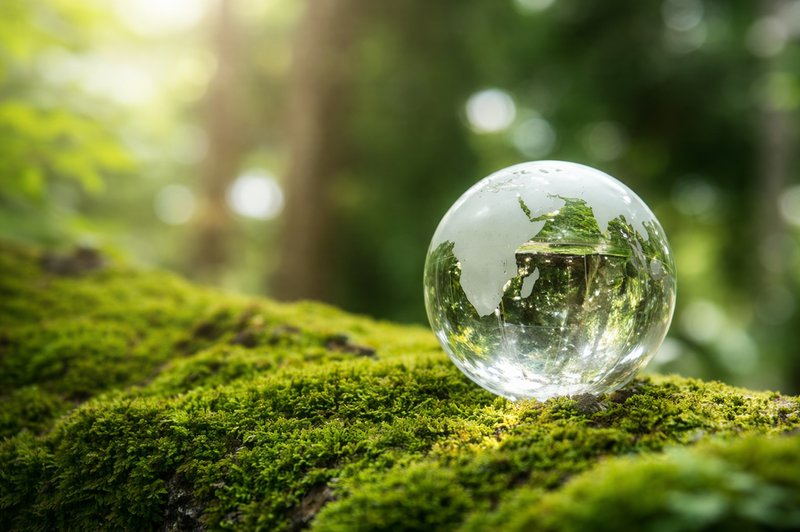 Globe